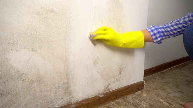 Best Residential Mold Inspection & Testing  in Carolina Forest, SC