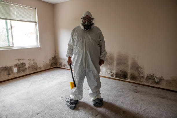 Mold Removal for HVAC Installations in Carolina Forest, SC
